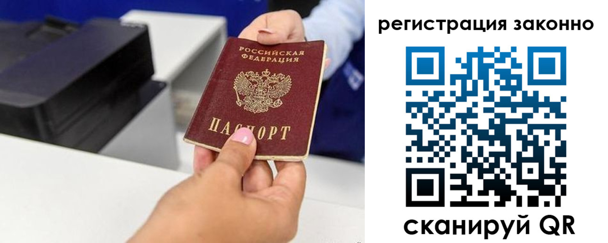 прописка для школы в Судогде